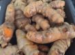 25 Amazing Benefits Of Turmeric