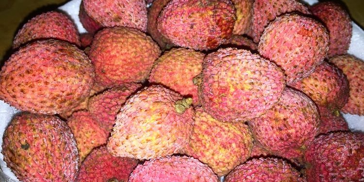 25 Amazing Benefits Of Litchi
