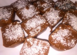 Coconut Chocolate Squares