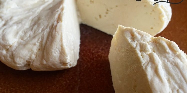 Homemade Paneer Homemade Paneer