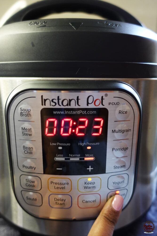 Instant Pot Caramel Flan Instant Pot Caramel Flan