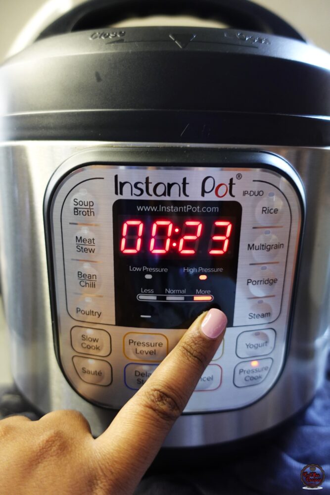 Instant Pot Caramel Flan Instant Pot Caramel Flan