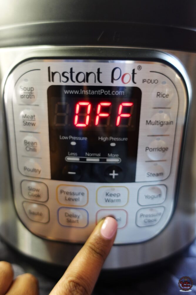 Instant Pot Caramel Flan Instant Pot Caramel Flan