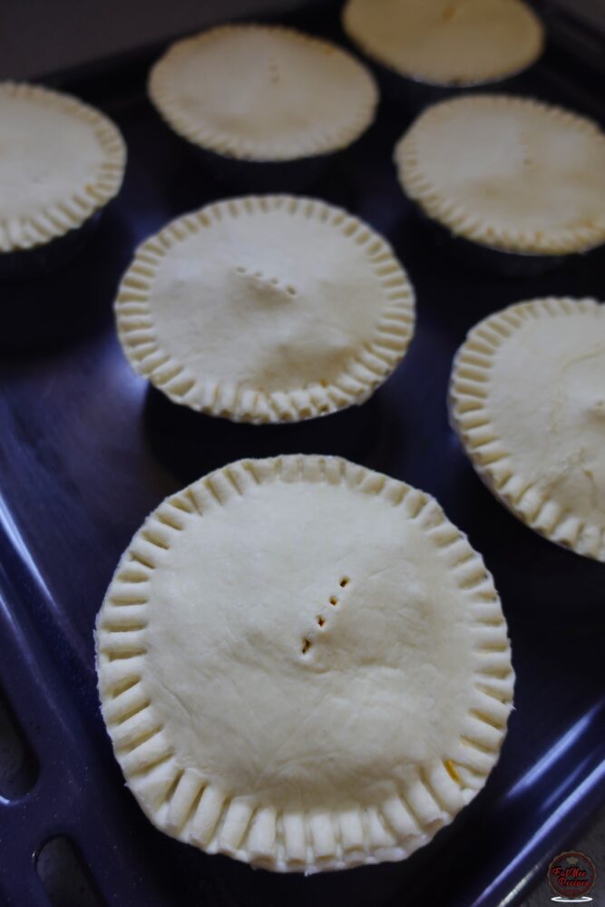 Vegetable Curry Pies