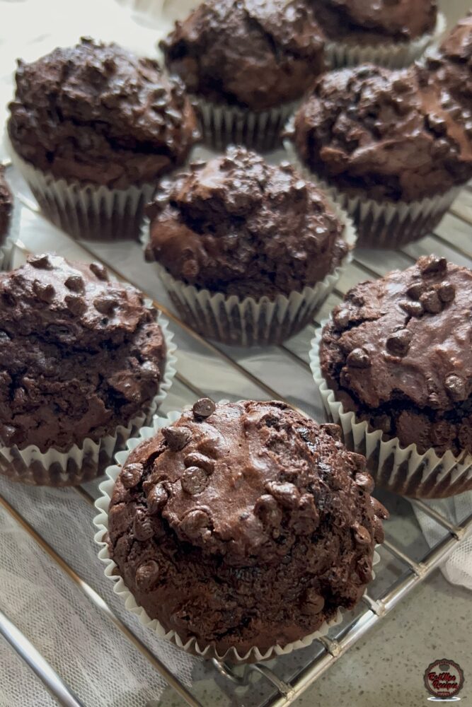 Chocolate Chip Muffins