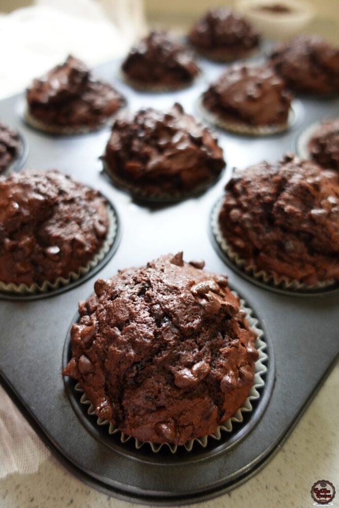 Chocolate Chip Muffins