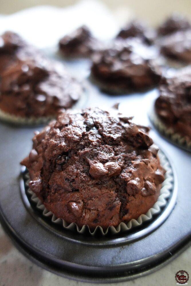 Chocolate Chip Muffins