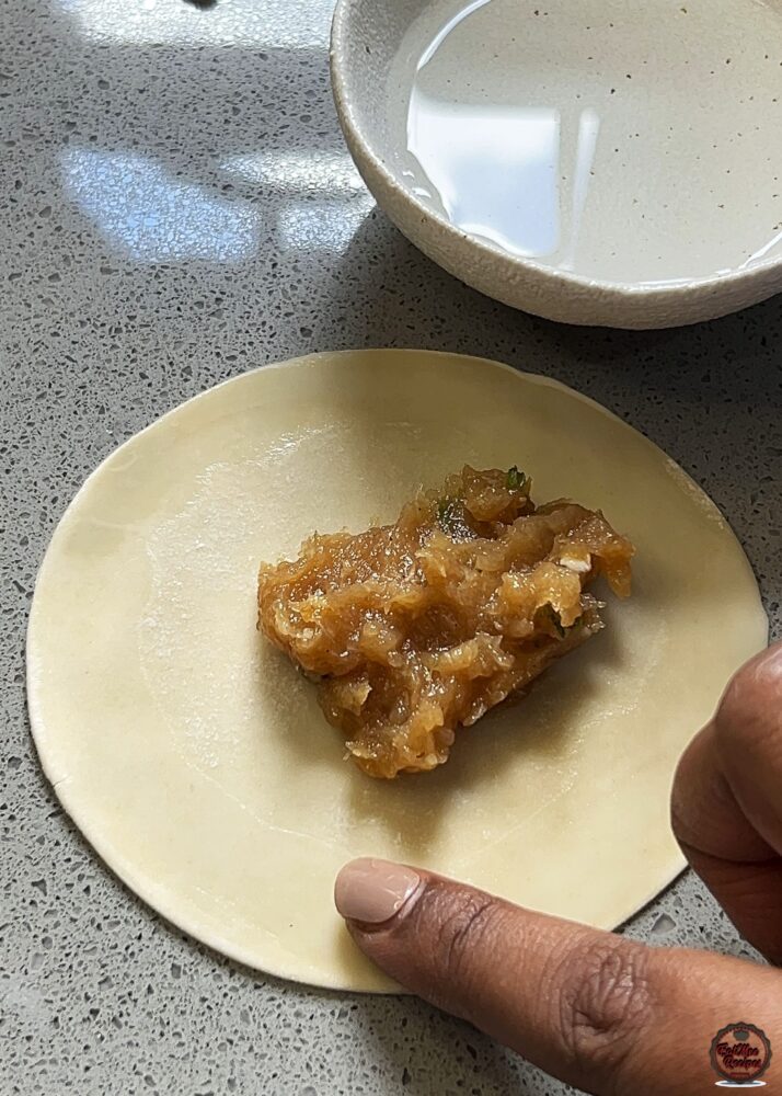 Chicken Dumplings (Gyoza) - Easy Homemade Recipe with Crispy Bottoms Chicken Dumplings (Gyoza) - Easy Homemade Recipe with Crispy Bottoms