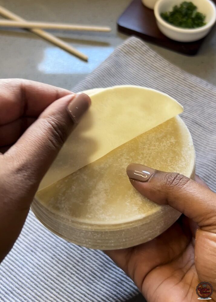 Chicken Dumplings (Gyoza) - Easy Homemade Recipe with Crispy Bottoms Chicken Dumplings (Gyoza) - Easy Homemade Recipe with Crispy Bottoms