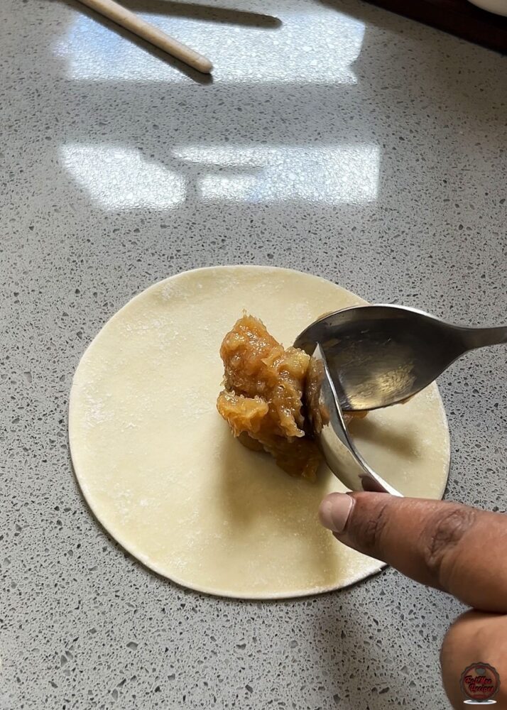 Chicken Dumplings (Gyoza) - Easy Homemade Recipe with Crispy Bottoms Chicken Dumplings (Gyoza) - Easy Homemade Recipe with Crispy Bottoms