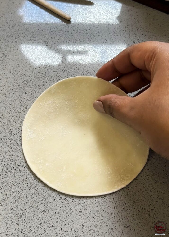 Chicken Dumplings (Gyoza) - Easy Homemade Recipe with Crispy Bottoms Chicken Dumplings (Gyoza) - Easy Homemade Recipe with Crispy Bottoms