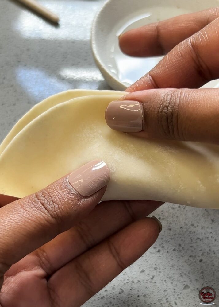 Chicken Dumplings (Gyoza) - Easy Homemade Recipe with Crispy Bottoms Chicken Dumplings (Gyoza) - Easy Homemade Recipe with Crispy Bottoms