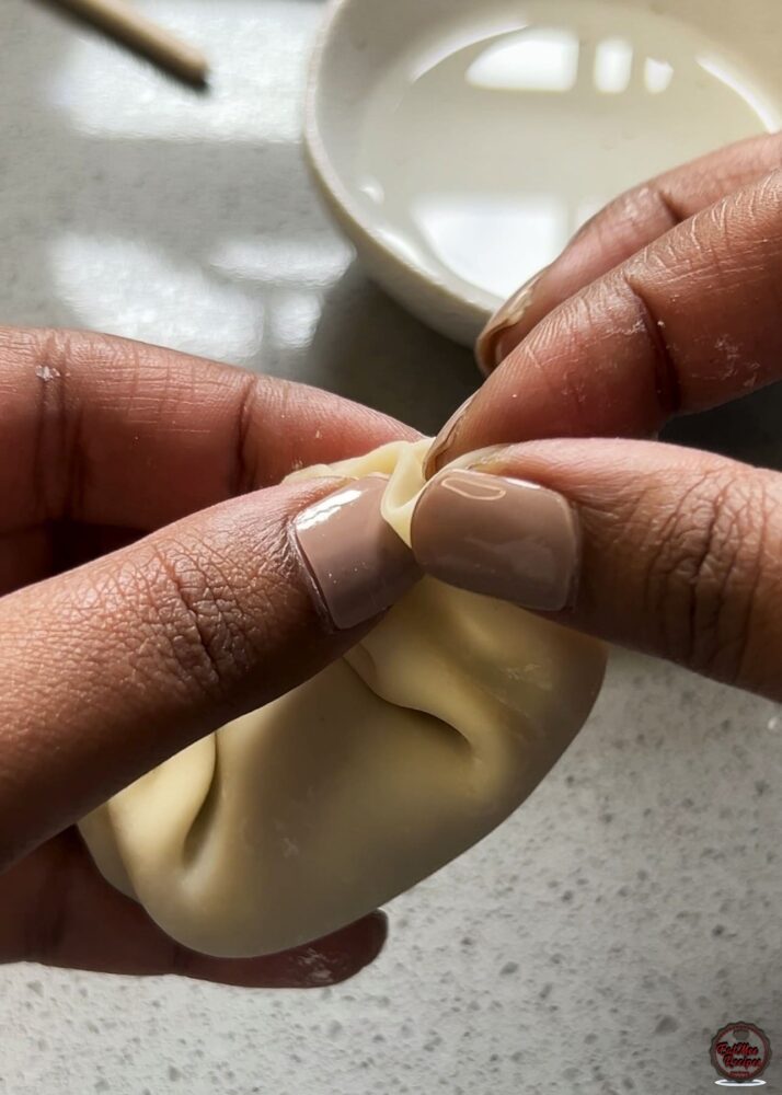 Chicken Dumplings (Gyoza) - Easy Homemade Recipe with Crispy Bottoms Chicken Dumplings (Gyoza) - Easy Homemade Recipe with Crispy Bottoms