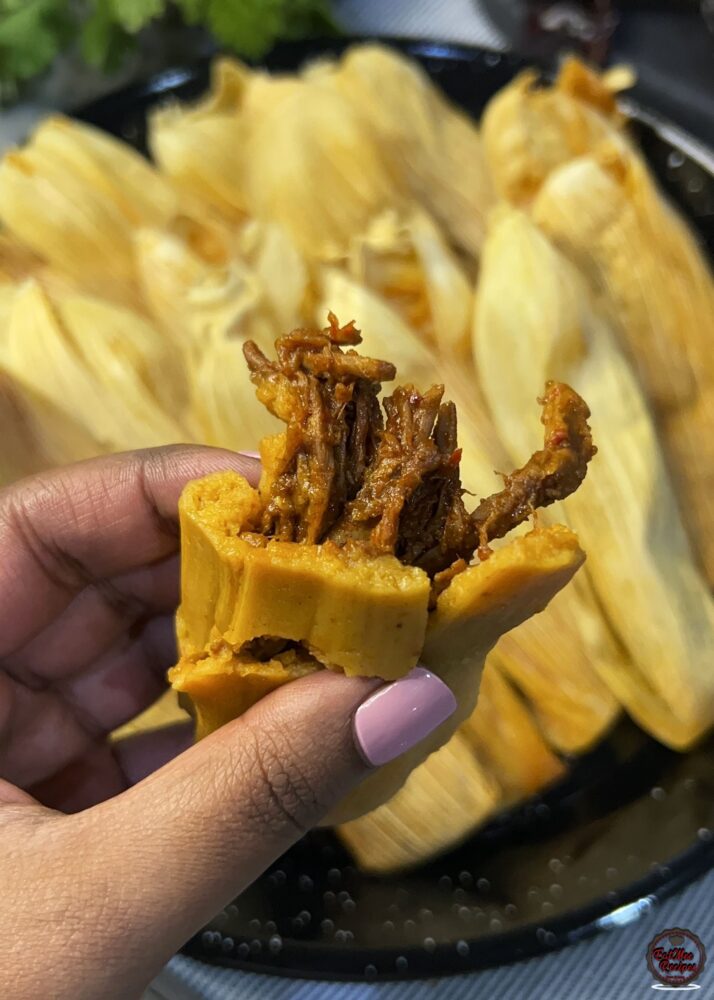 Instant Pot Beef Tamales