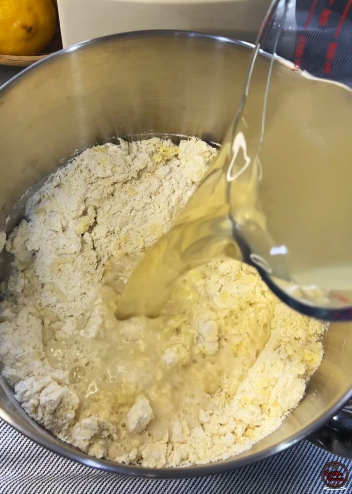 Instant Pot Beef Tamales