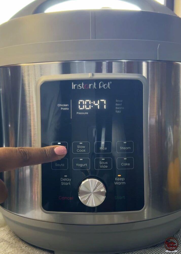 Instant Pot Beef Tamales