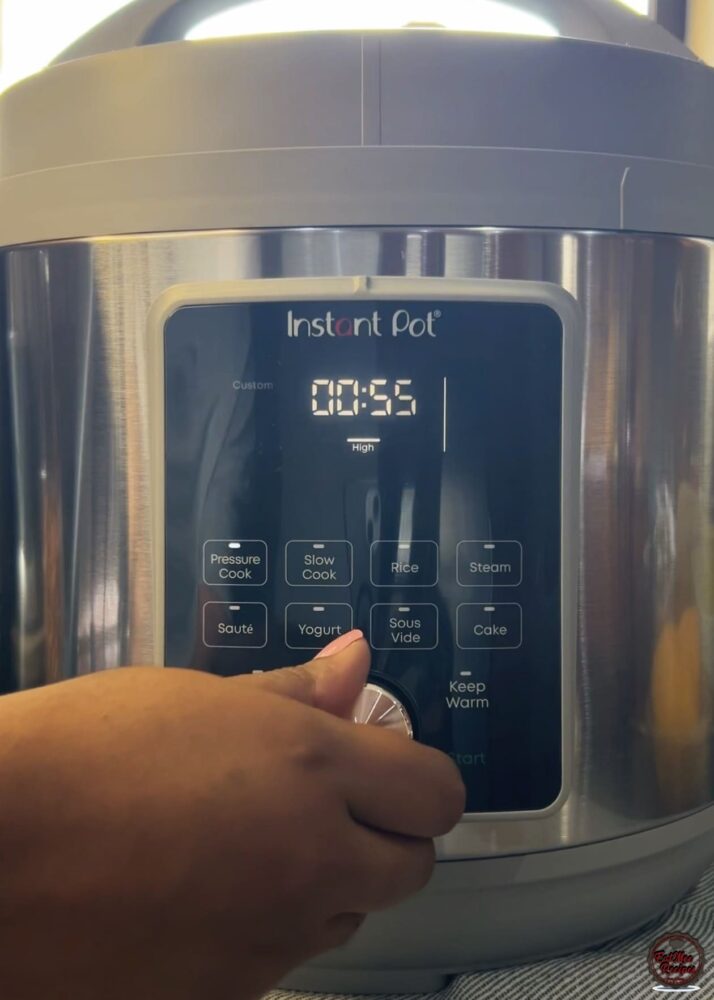 Instant Pot Beef Tamales