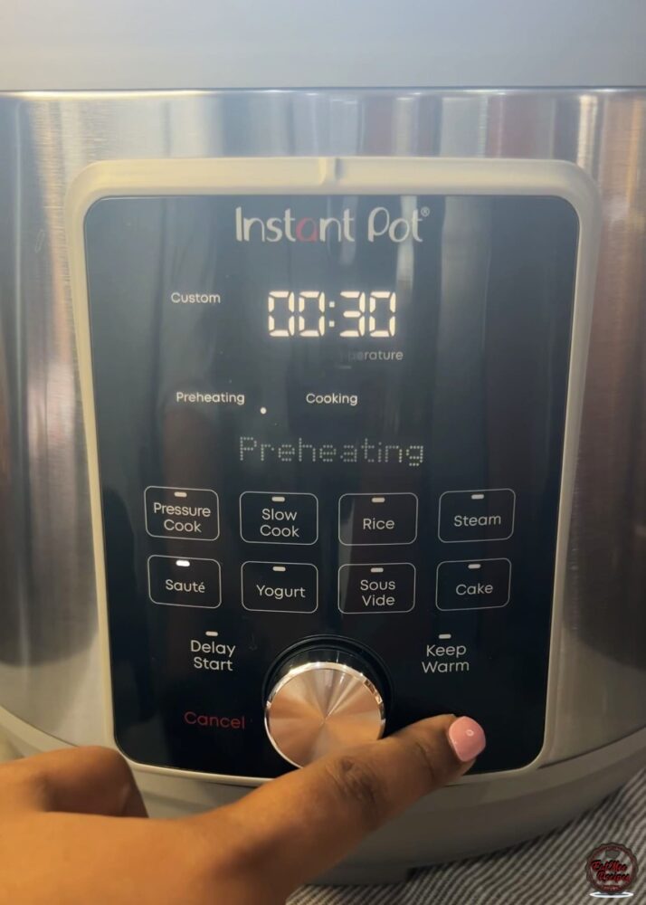 Instant Pot Beef Tamales