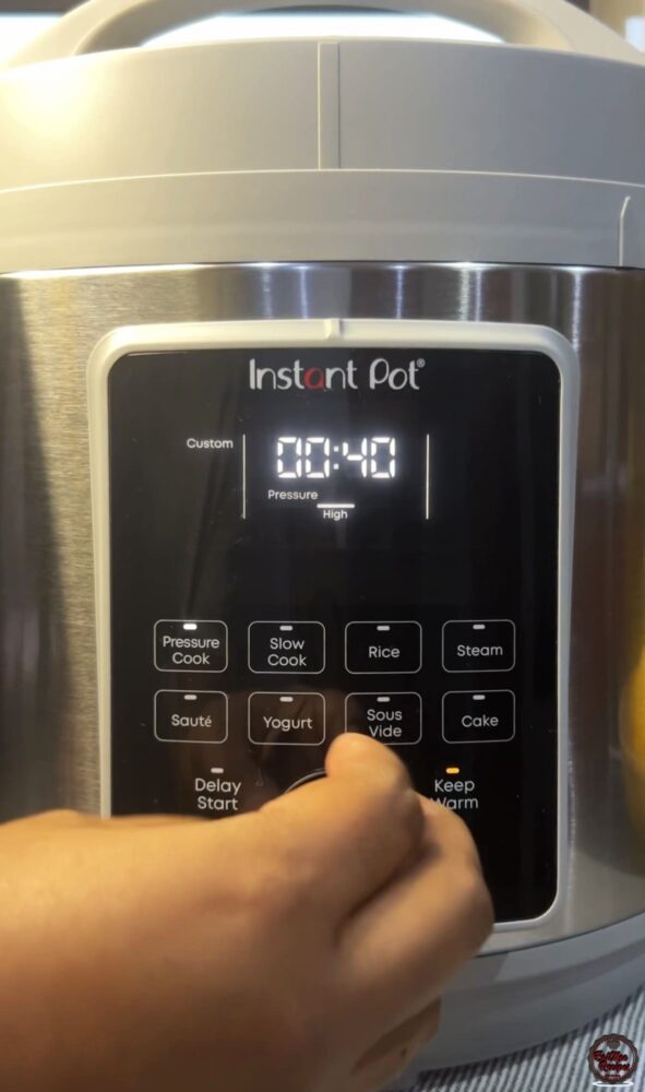 Instant Pot Beef Tamales
