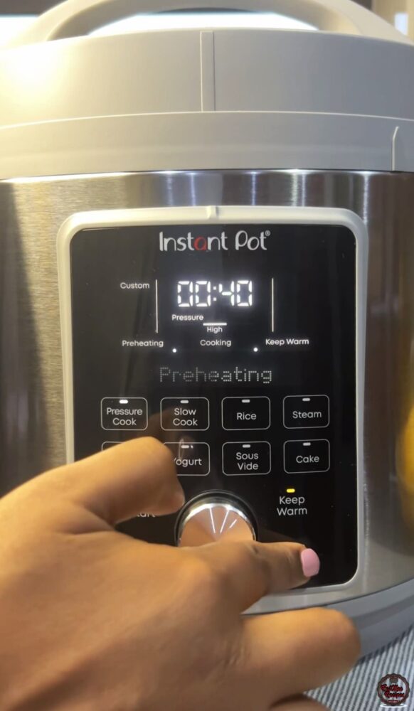 Instant Pot Beef Tamales