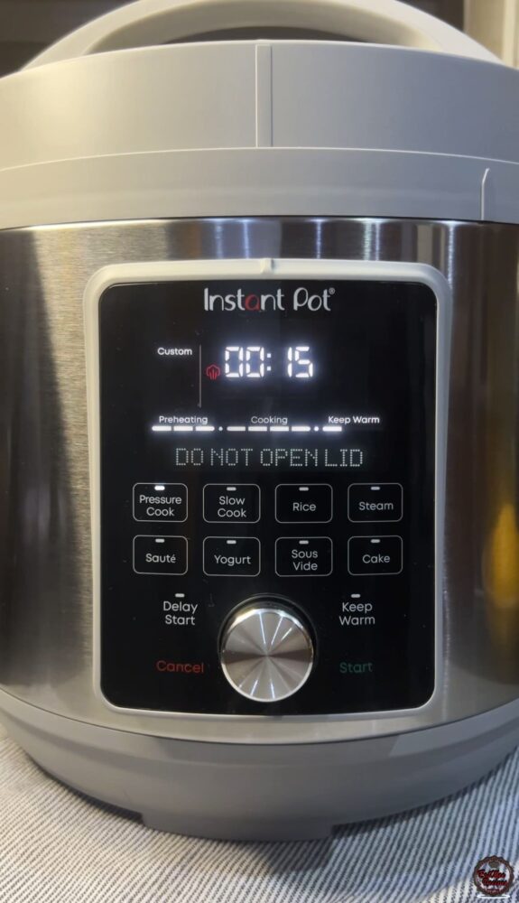 Instant Pot Beef Tamales