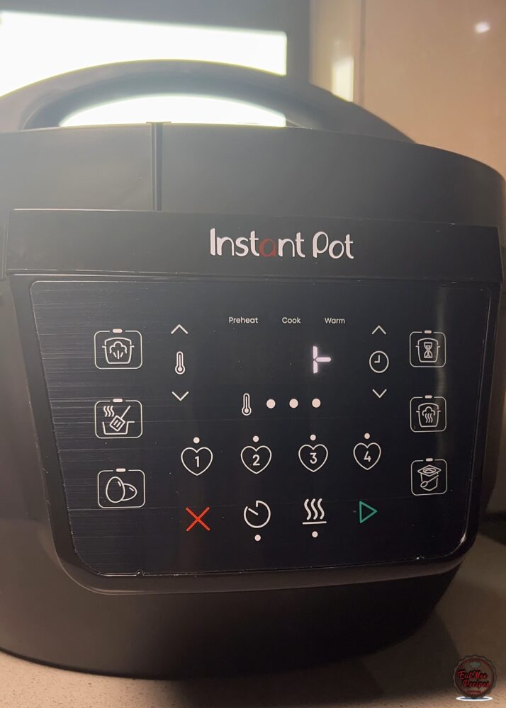 Instant Pot Durban Chicken Curry