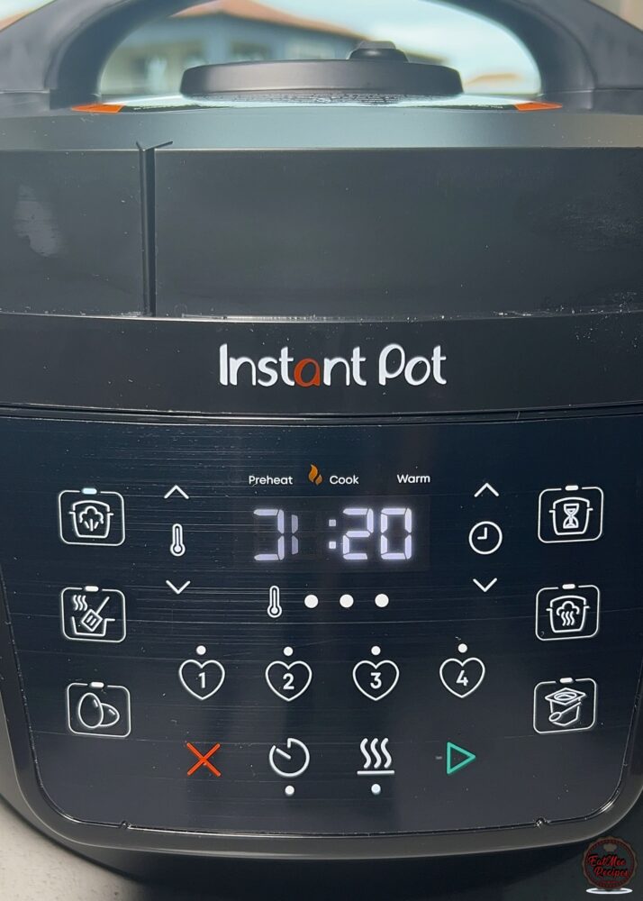 Instant Pot Durban Chicken Curry