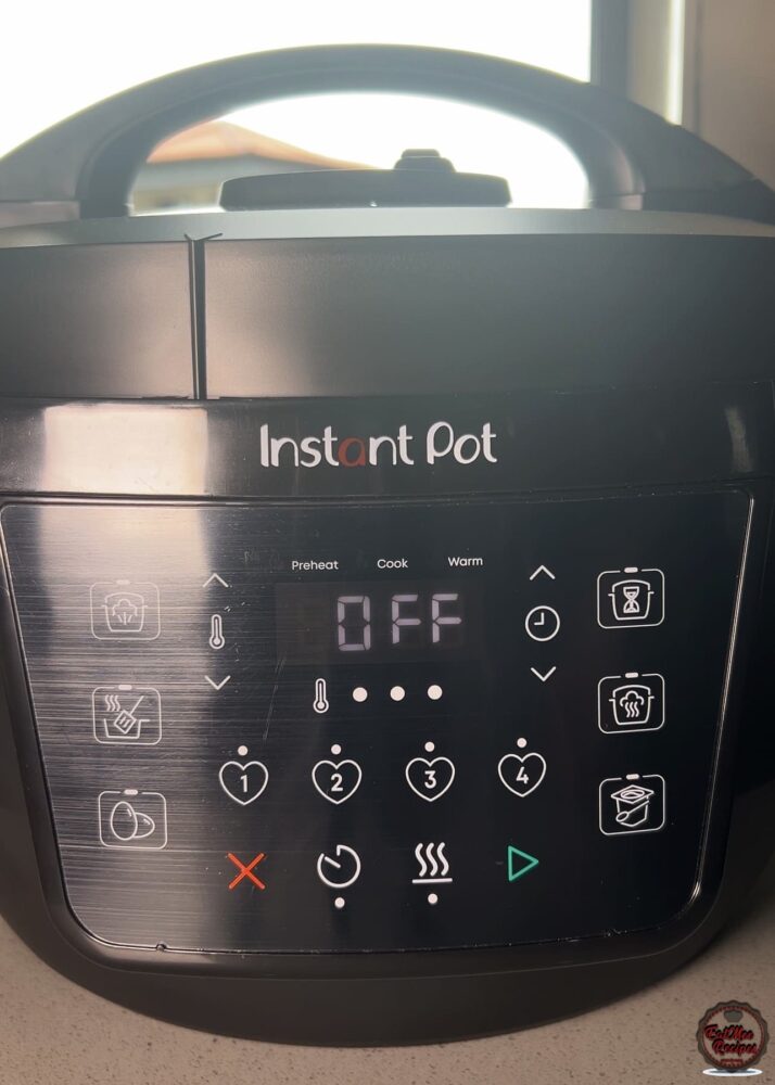 Instant Pot Durban Chicken Curry