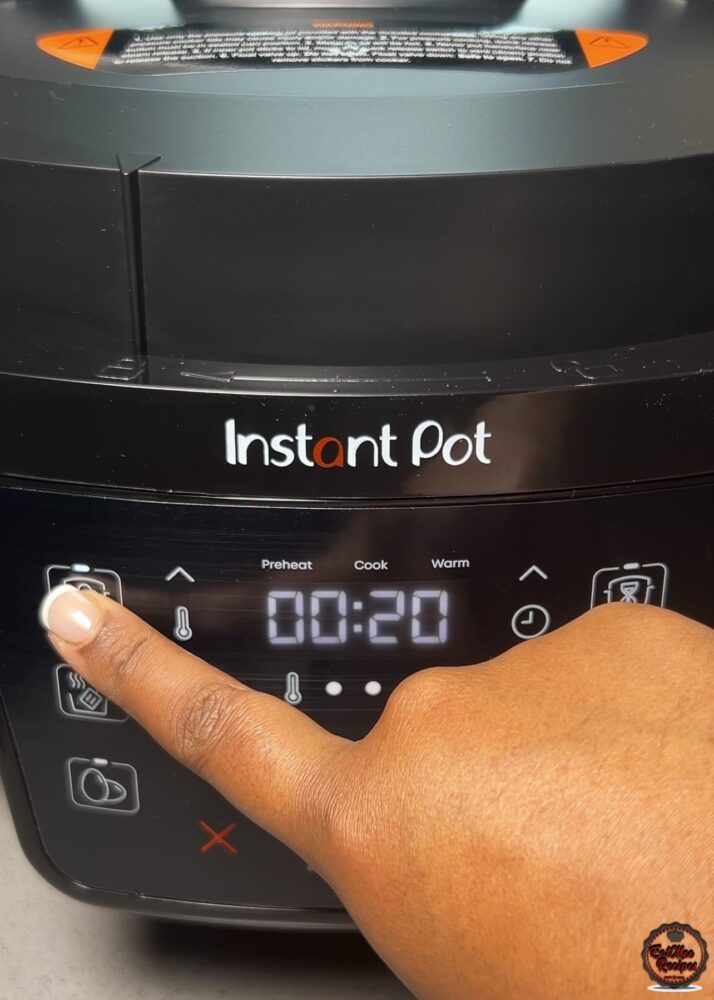 Instant Pot Durban Chicken Curry