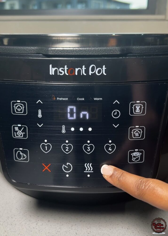 Instant Pot Durban Chicken Curry