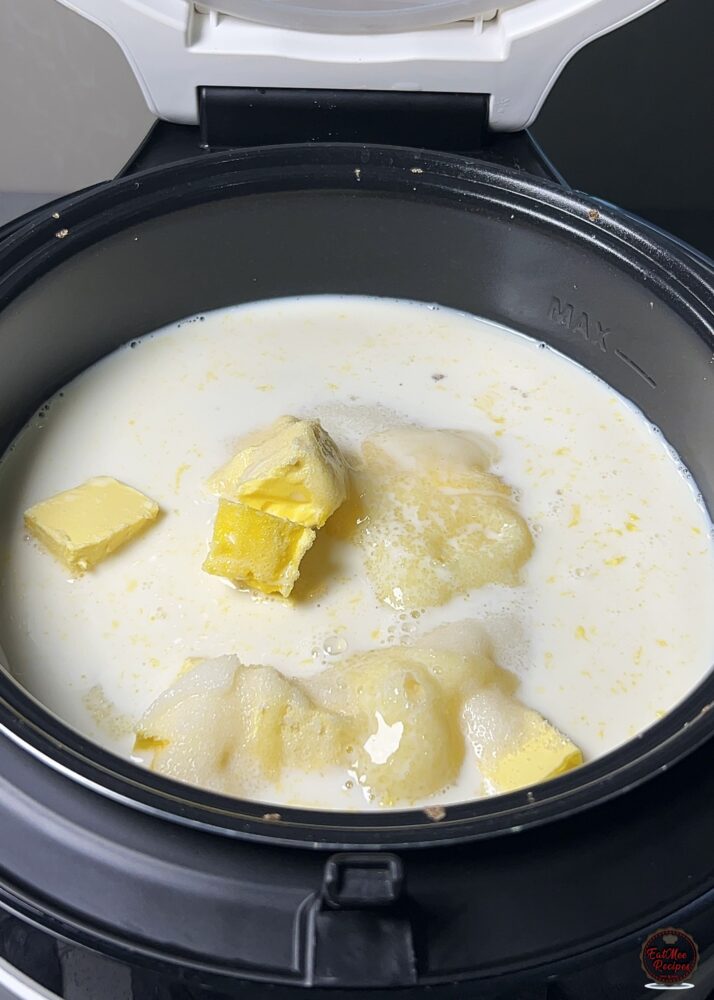 Instant Rice Cooker Sweet Rice