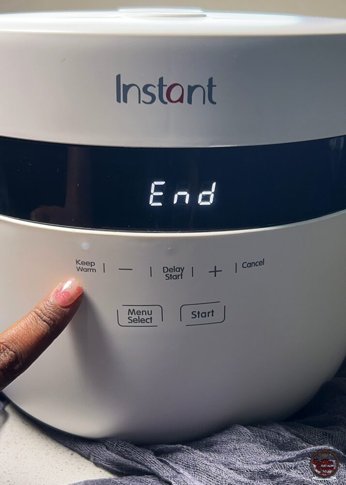 Instant Rice Cooker Sweet Rice