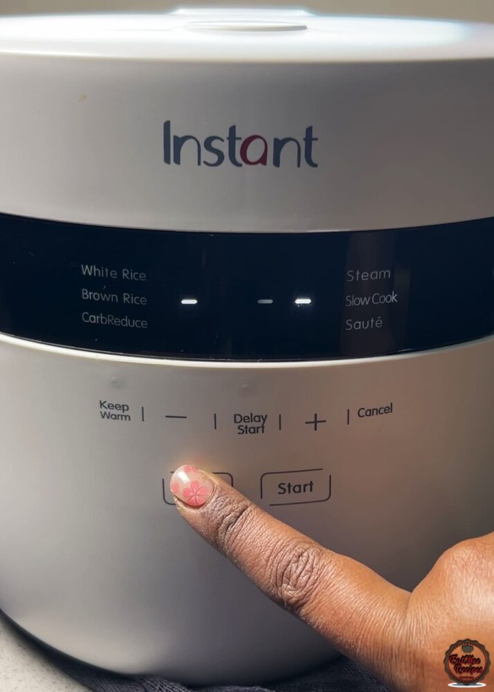 Instant Rice Cooker Sweet Rice