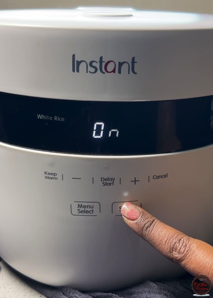 Instant Rice Cooker Sweet Rice