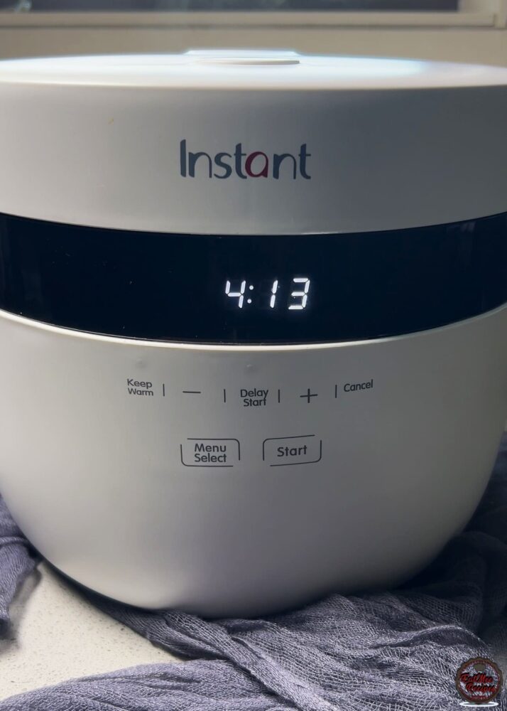 Instant Rice Cooker Sweet Rice