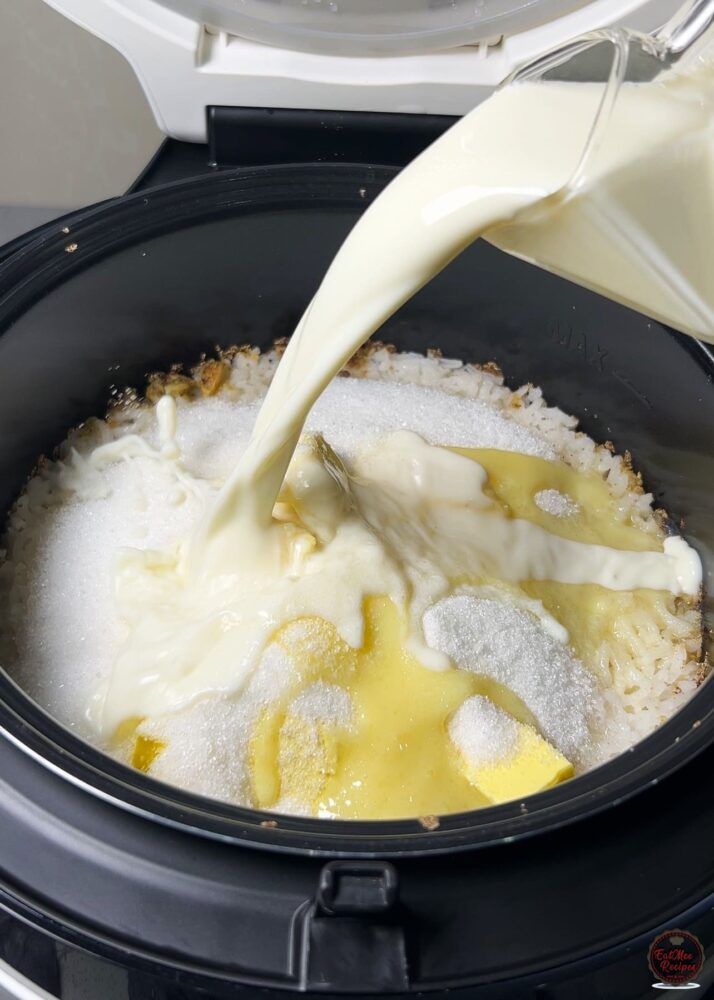 Instant Rice Cooker Sweet Rice